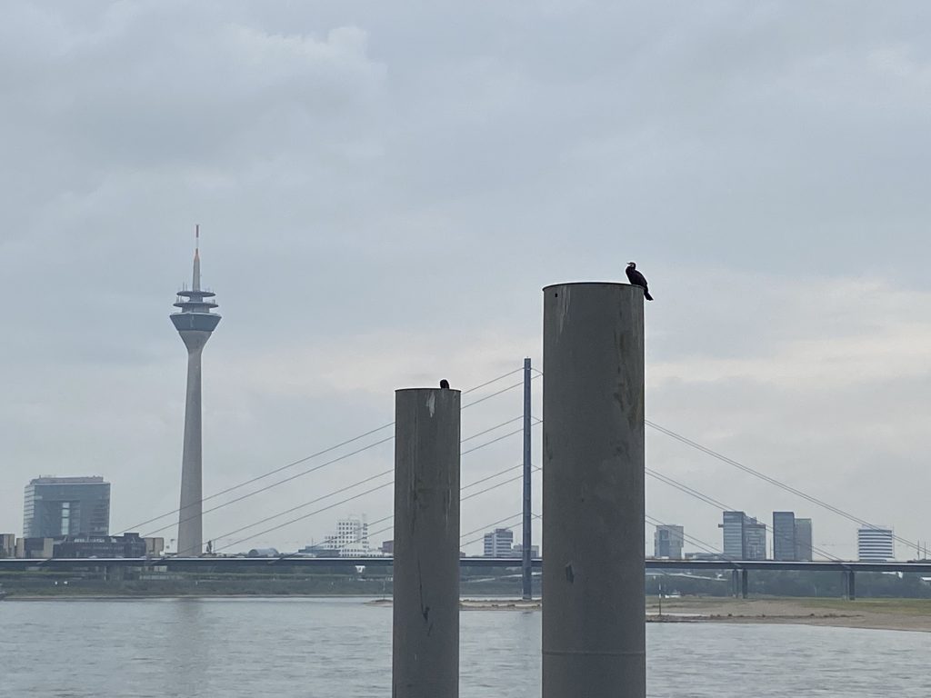 Düsseldorf Rheinturm, 10. Juni 2020